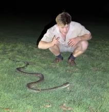 robert2.png