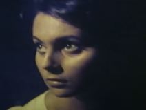 Dusica-zegarac5.jpg