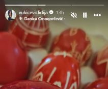 Lidija-vukicevic3.png