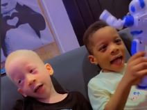 Screenshot 2025-05-19 181038.png