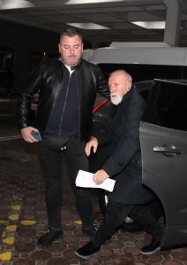 dino-merlin (11).JPG