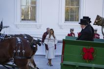 melanija-tramp (18).jpg