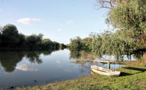 2025-12-03 14_36_42-Ovo je imanje Stoje Novaković u Perlezu _ Kurir.png