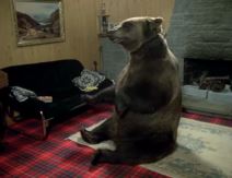 meg i endi robin6.jpg