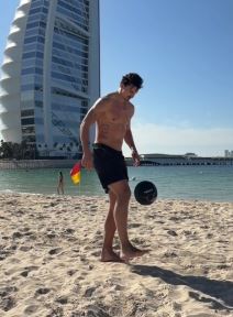 Zlatan Ibrahimović.jpg