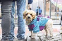 shutterstock (13).jpg