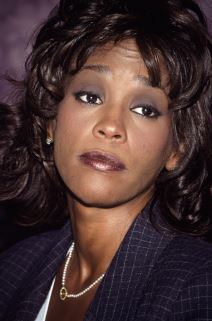 vitni-hjuston (20).jpg