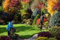 najlepše-dvorište (3).jpg