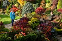 najlepše-dvoriste (13).jpg