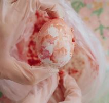 Screenshot 2026-04-01 103539.png