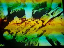 lepenski-vir (9).jpg