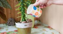 cveće.jpg