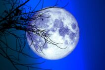 shutterstock_1720717126.jpg