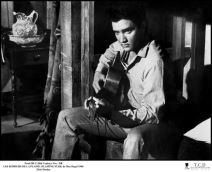 elvis-prisli.jpg