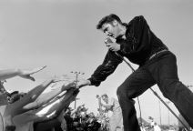 elvis-prisliprofimedia.jpg