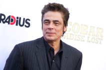 benisio-del-toro.jpg