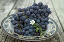 grozdje.jpg