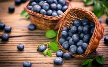 shutterstock-662033851.jpg