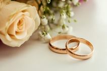shutterstock-506395573.jpg