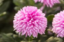 shutterstock-763327360.jpg