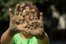 shutterstock-1192506838.jpg