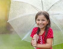 shutterstock-261041501.jpg
