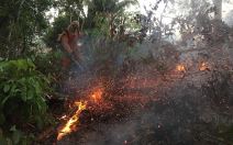 epa--epa-porto-velho-firefighters-hando.jpg