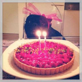 torta-marije-serifovic.jpg