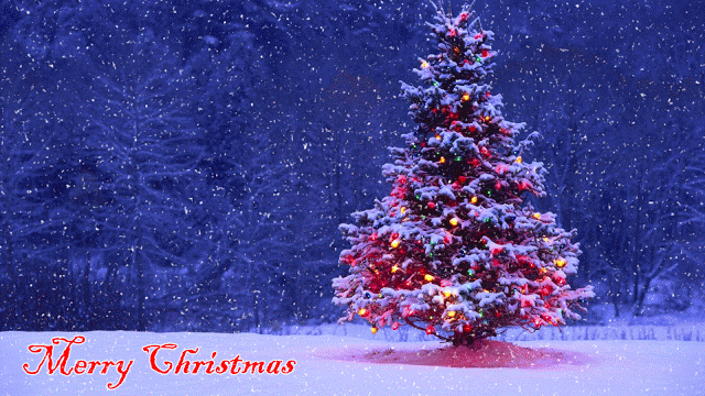 christmastreeinsnowywoods.gif