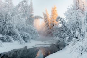 shutterstock-1300381624.jpg