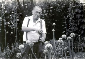 carls-bukovski-profi.jpg