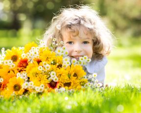shutterstock-132020708.jpg