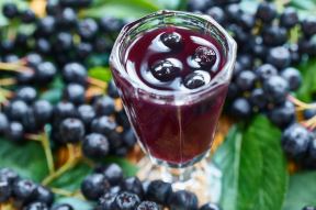 aronia-shutter.jpg