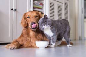 shutterstock-732043126.jpg
