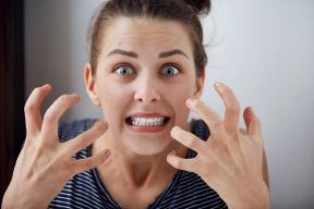 shutterstock-370029713.jpg