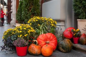 shutterstock-1478359178.jpg