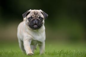 shutterstock-708533065.jpg