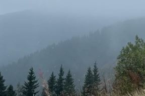 2725693-prvisneg-ls.jpg