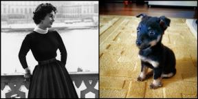 elizabet-tejlor.jpg