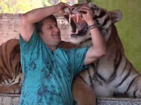 tigar3.jpg