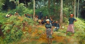 plemetoraja4.jpg