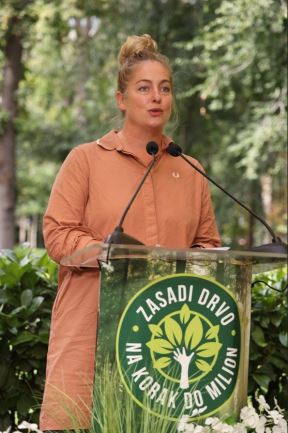 zasadi-drvo134567.jpg