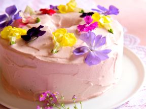shutterstock-1068902237.jpg