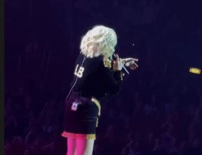lepabrena.jpg