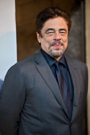 benisiodeltoro-1.jpg