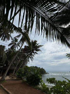 srilanka4.jpg