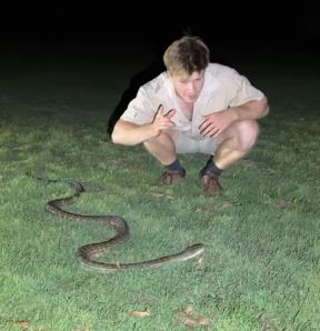 robert2.png