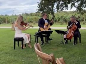 Nika Fehmiu venčanje