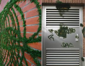 grafiti-od-mahovine.jpg