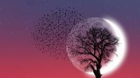 414636_supermladimesecshutterstock-2157903563_ff.jpg